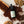 5000 mg CBD Revive Tincture