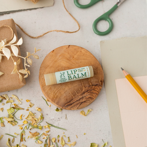 CBD Lip Balm